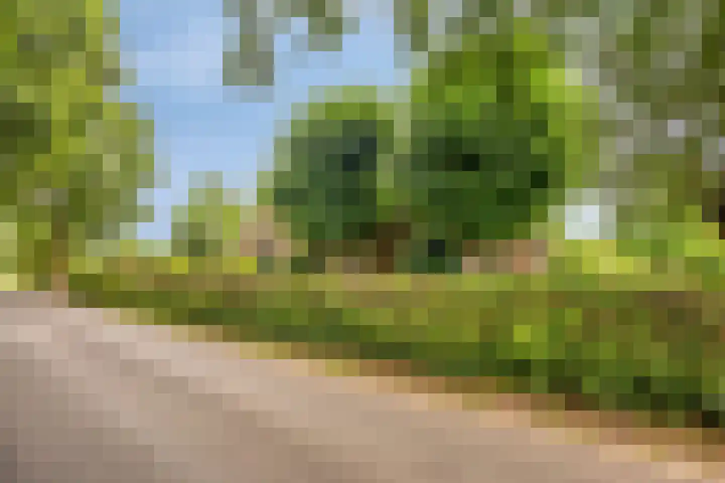 Boshoekerweg 3 Oene thumbnail 82