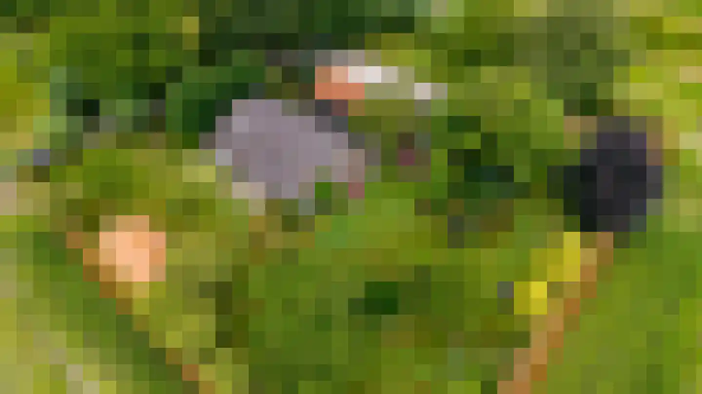 Boshoekerweg 3 Oene thumbnail 87