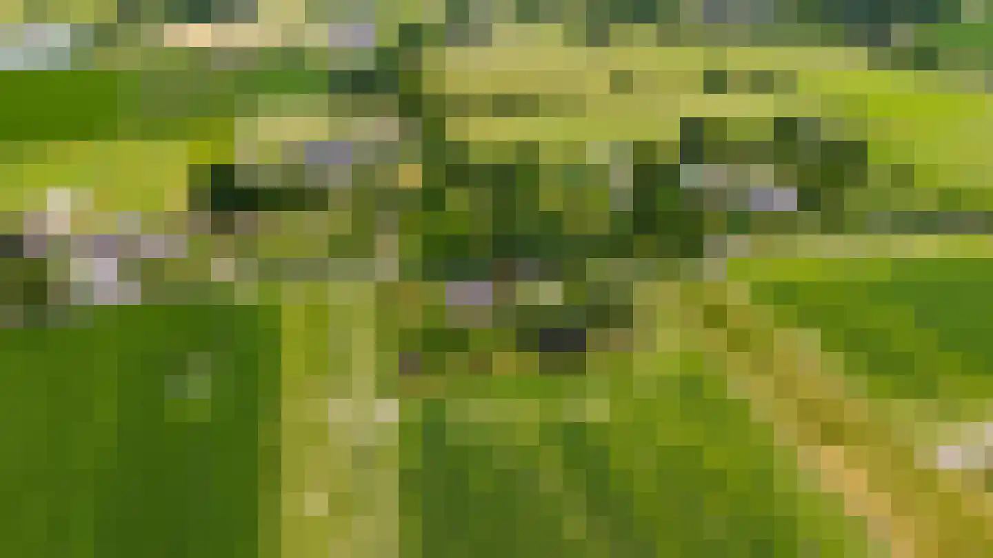 Boshoekerweg 3 Oene thumbnail 88
