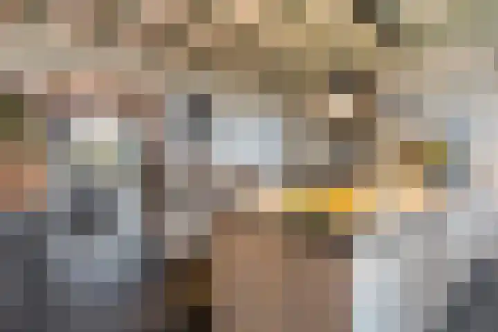 Boshoekerweg 5 Oene thumbnail 11