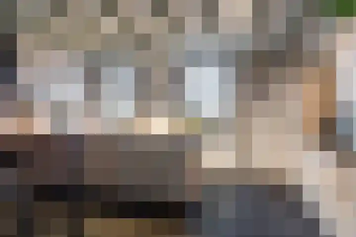 Boshoekerweg 5 Oene thumbnail 12