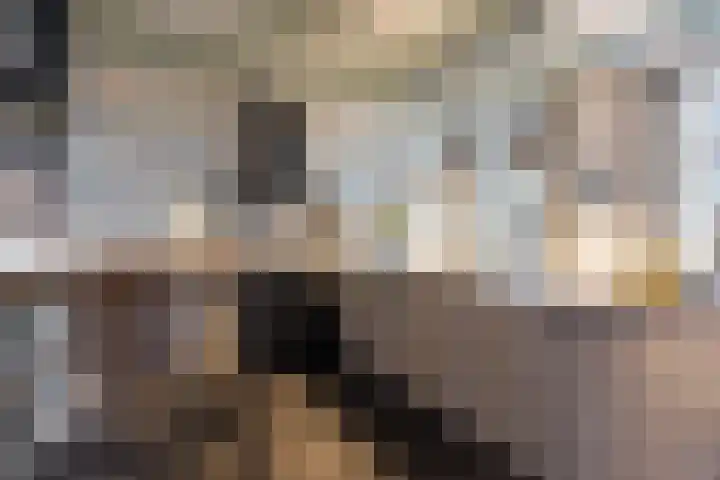 Boshoekerweg 5 Oene thumbnail 13
