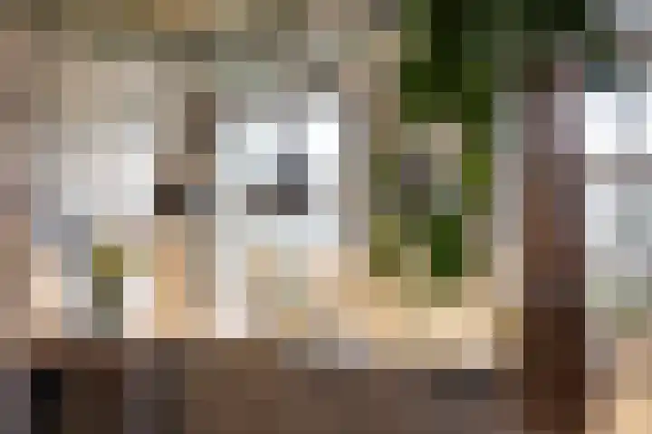 Boshoekerweg 5 Oene thumbnail 14