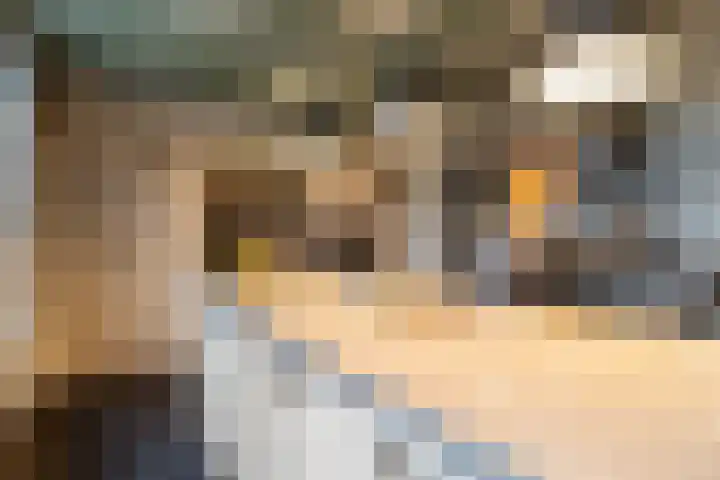 Boshoekerweg 5 Oene thumbnail 15