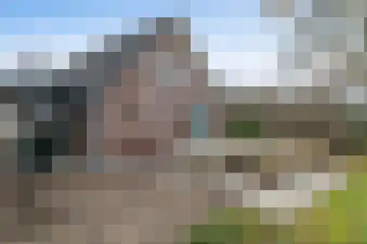 Boshoekerweg 5 Oene thumbnail 34