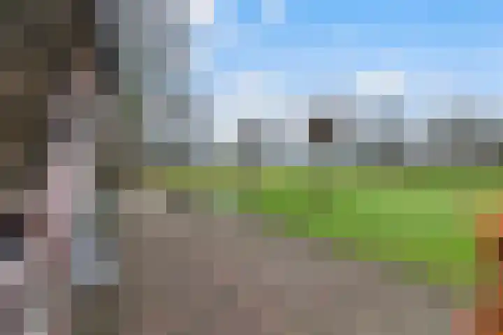 Boshoekerweg 5 Oene thumbnail 36