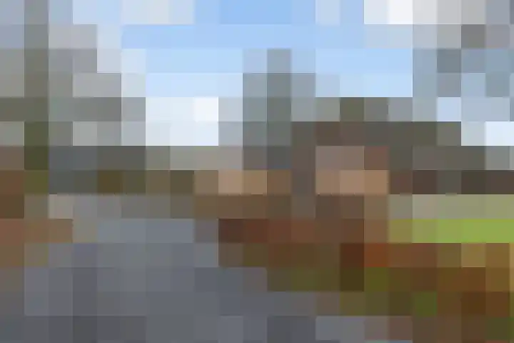 Boshoekerweg 5 Oene thumbnail 4