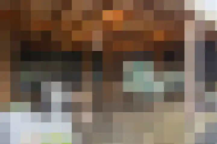Boshoekerweg 5 Oene thumbnail 44