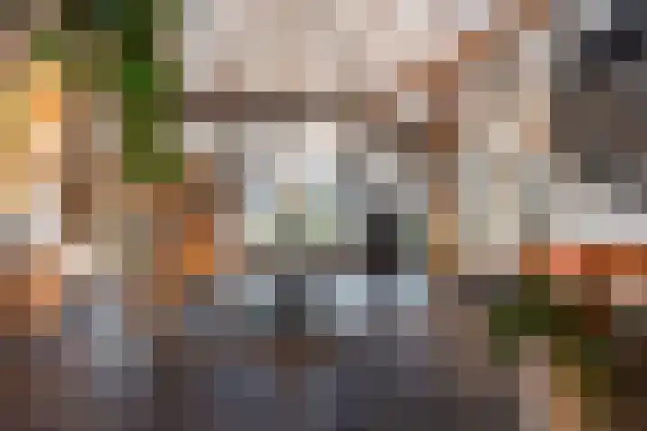 Boshoekerweg 5 Oene thumbnail 5