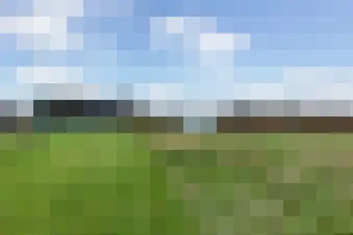 Boshoekerweg 5 Oene thumbnail 50