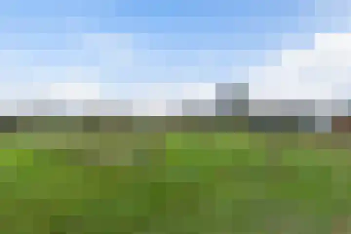 Boshoekerweg 5 Oene thumbnail 51