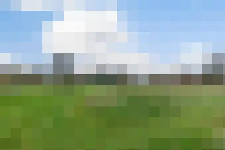 Boshoekerweg 5 Oene thumbnail 52