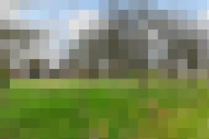 Boshoekerweg 5 Oene thumbnail 53