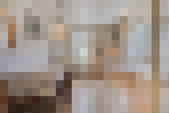 Boshoekerweg 9 Oene thumbnail 13