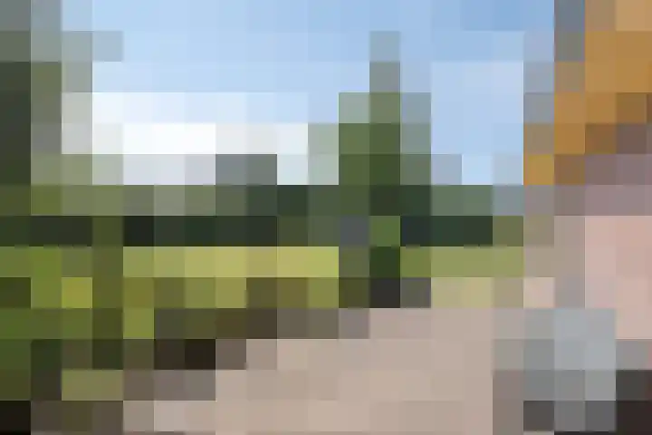 Boshoekerweg 9 Oene thumbnail 31