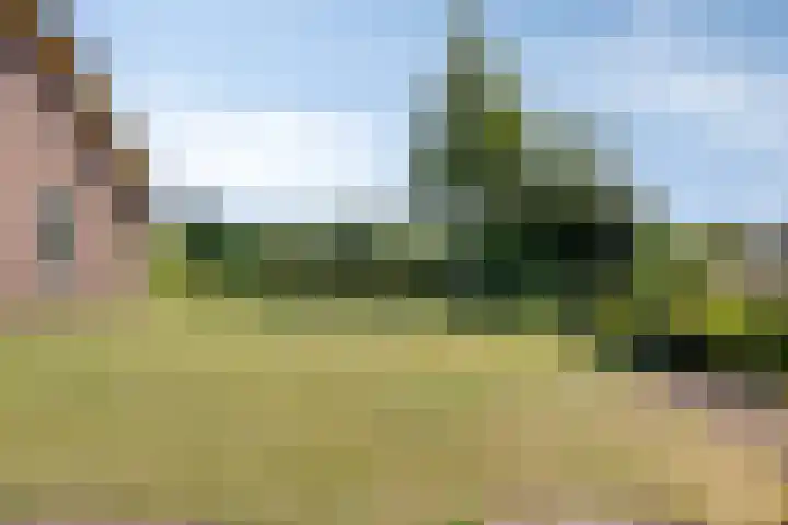 Boshoekerweg 9 Oene thumbnail 36