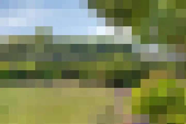 Boshoekerweg 9 Oene thumbnail 37