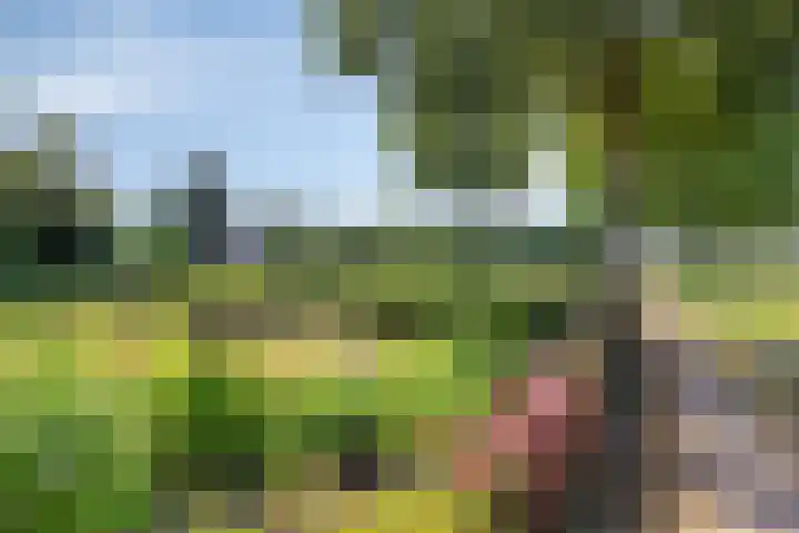 Boshoekerweg 9 Oene thumbnail 38