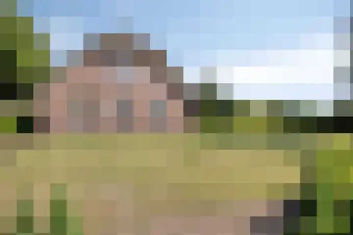 Boshoekerweg 9 Oene thumbnail 39