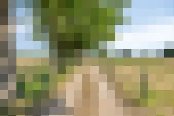 Boshoekerweg 9 Oene thumbnail 4