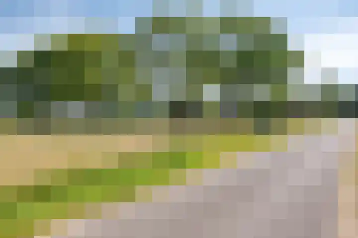 Boshoekerweg 9 Oene thumbnail 41