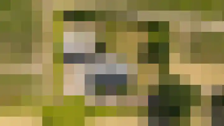 Boshoekerweg 9 Oene thumbnail 46