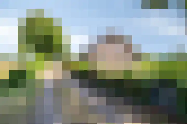 Boshoekerweg 9 Oene thumbnail 5