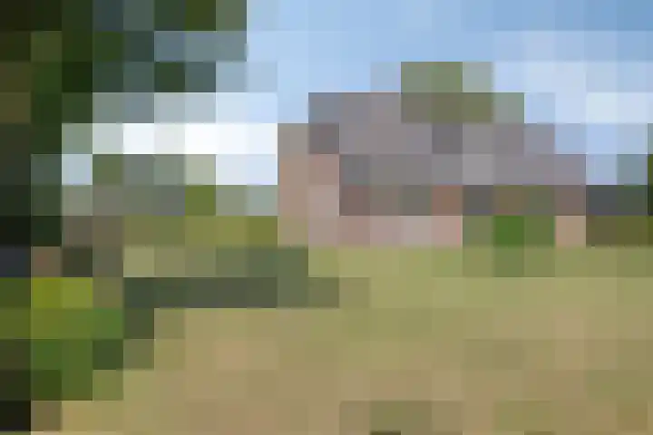 Boshoekerweg 9 Oene thumbnail 6