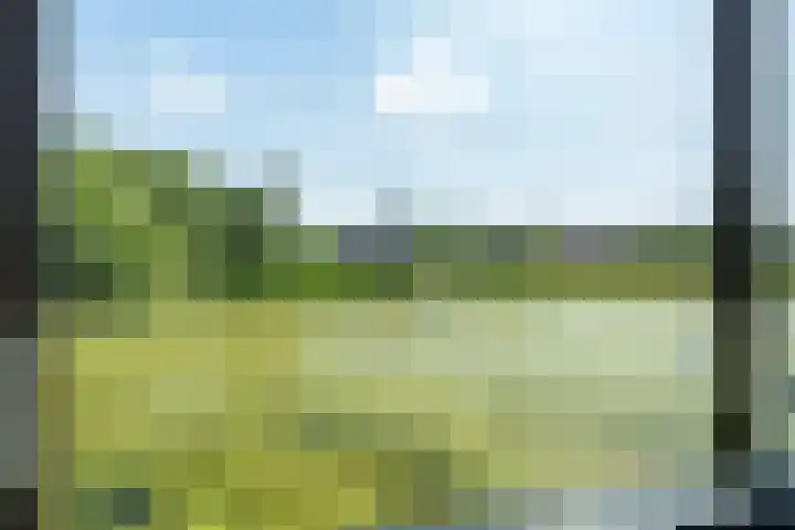Boshoeve 52 Nieuwegein thumbnail 10