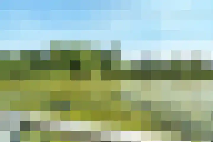 Boshoeve 52 Nieuwegein thumbnail 31