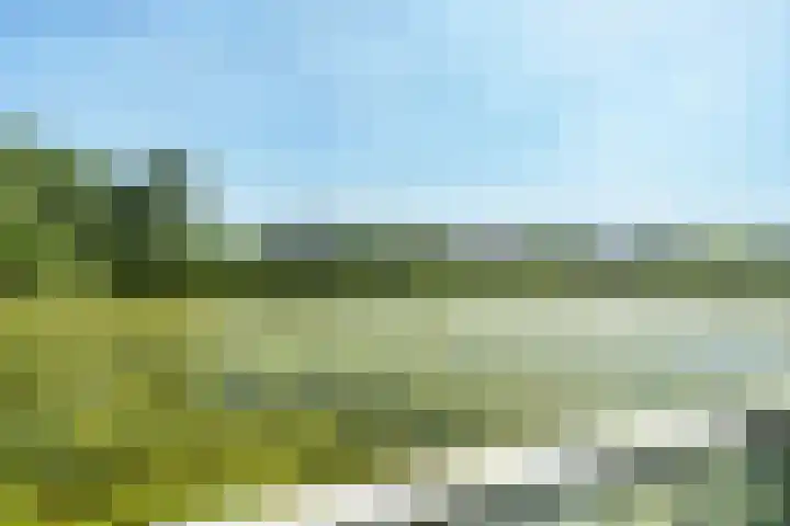 Boshoeve 52 Nieuwegein thumbnail 32