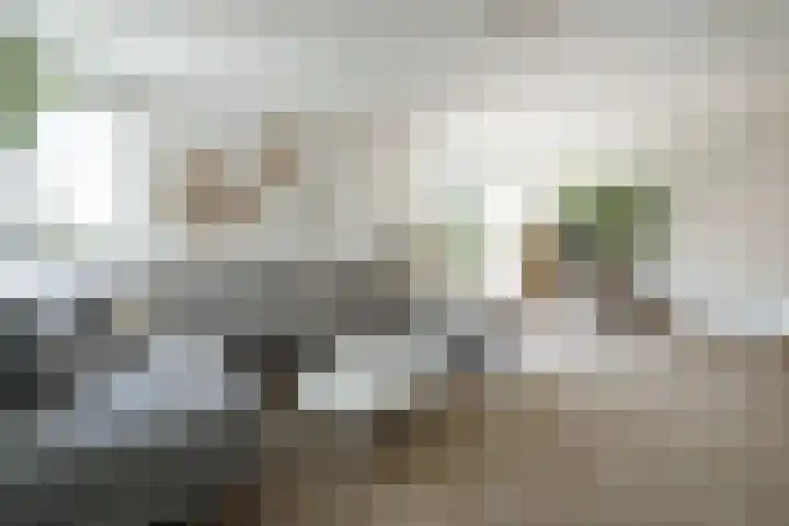 Boshoeve 52 Nieuwegein thumbnail 7