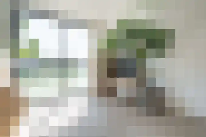 Boshoeve 52 Nieuwegein thumbnail 9