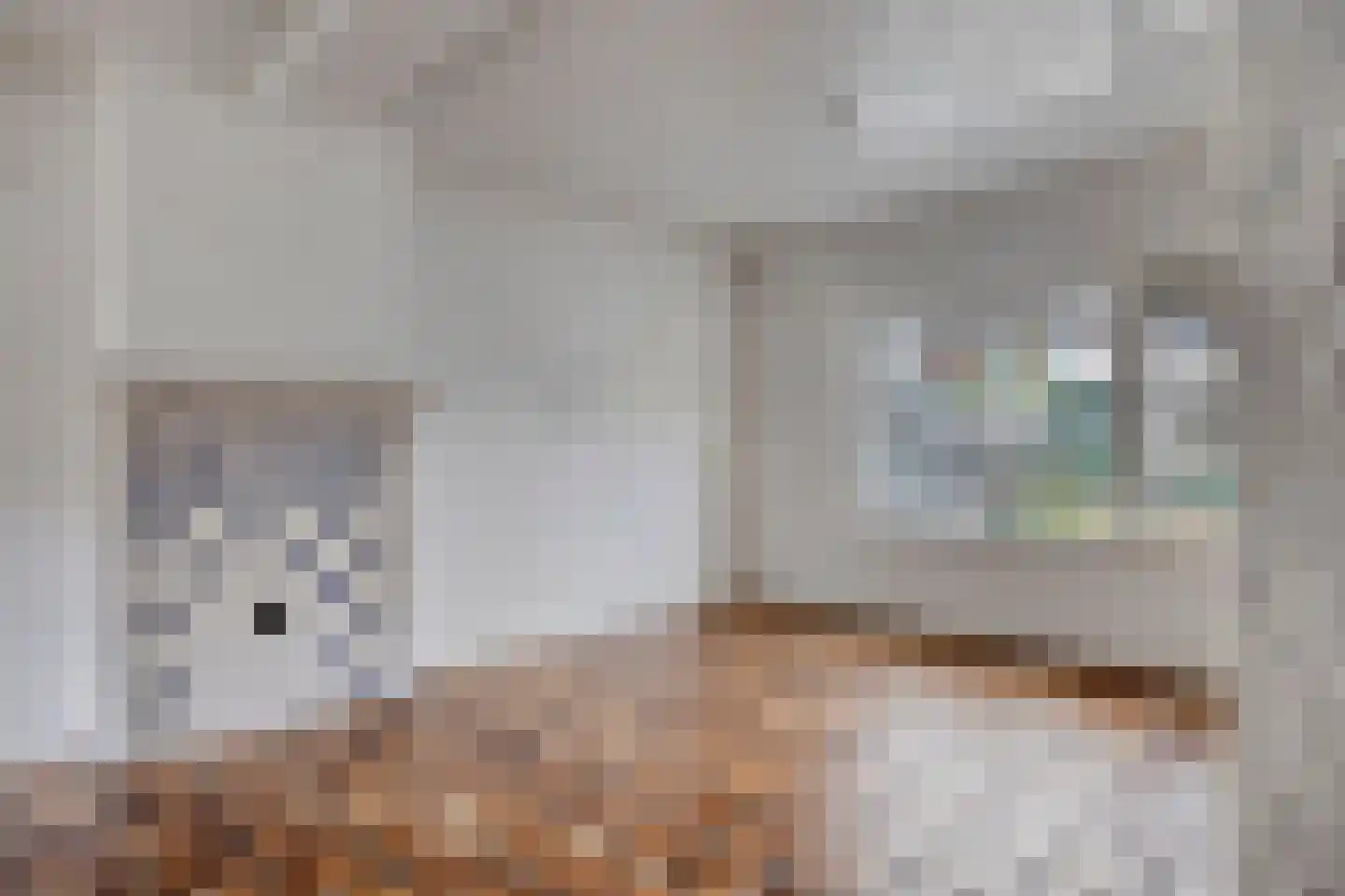 Boshof 14 Leiden thumbnail 10