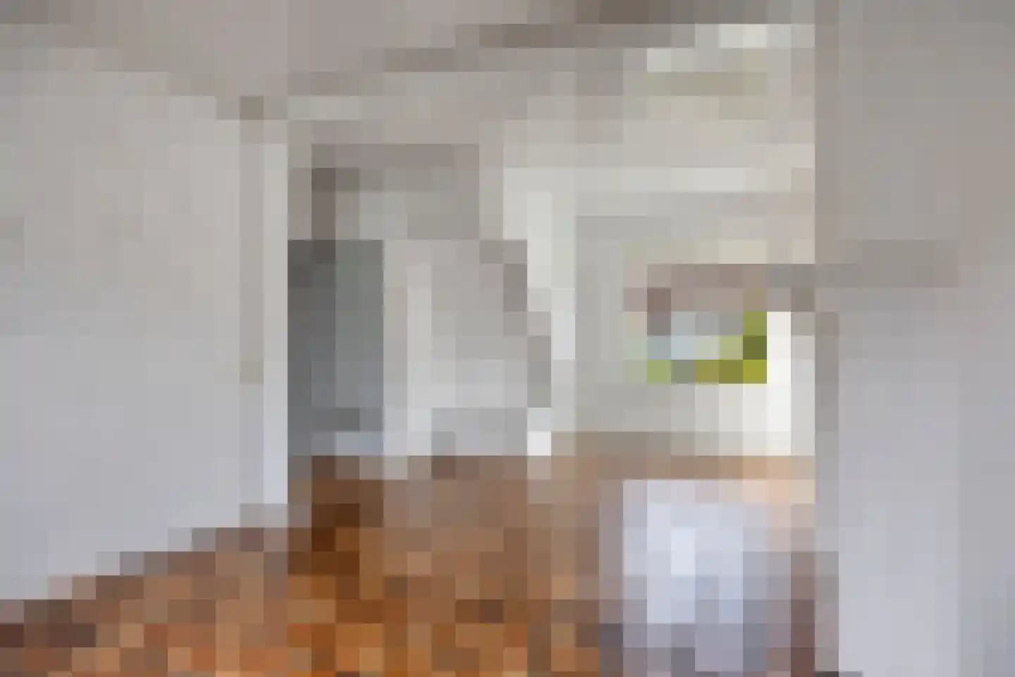 Boshof 14 Leiden thumbnail 11