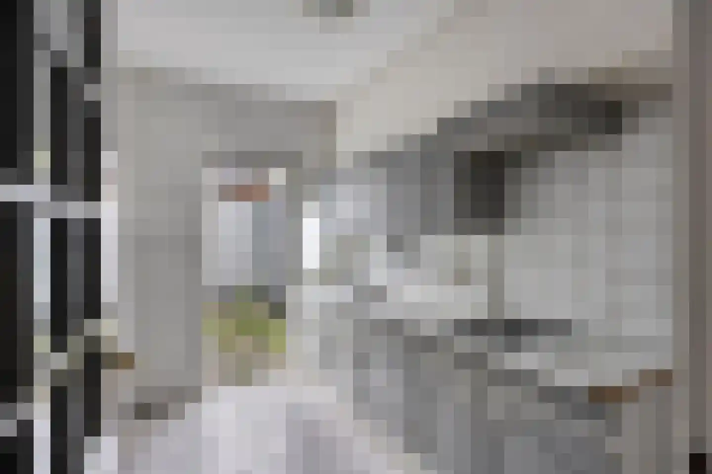 Boshof 14 Leiden thumbnail 12