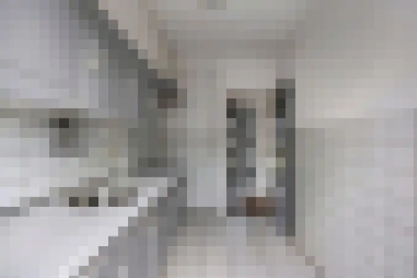 Boshof 14 Leiden thumbnail 13