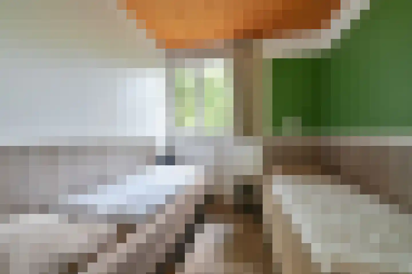 Boshoffweg 6 657 Eerbeek thumbnail 11