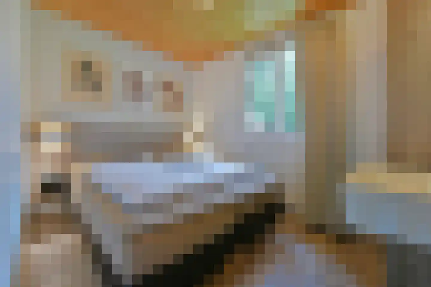 Boshoffweg 6 667 Eerbeek thumbnail 10