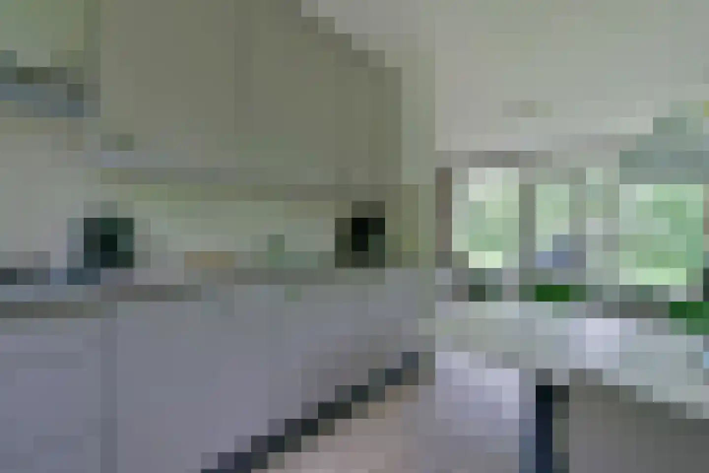 Boshoffweg 6 667 Eerbeek thumbnail 8