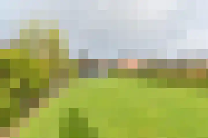Boshoflaan 10 Odoorn thumbnail 66
