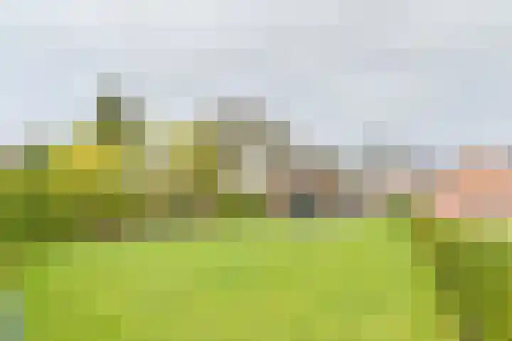 Boshoflaan 10 Odoorn thumbnail 67