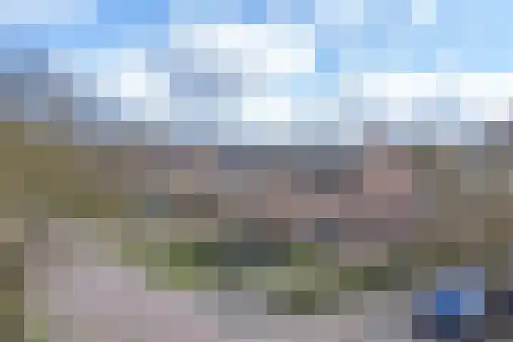 Boshoflaan 10 Odoorn thumbnail 83