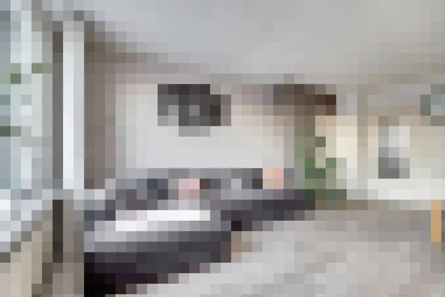 Boshovenstraat 35 Arnhem thumbnail 41