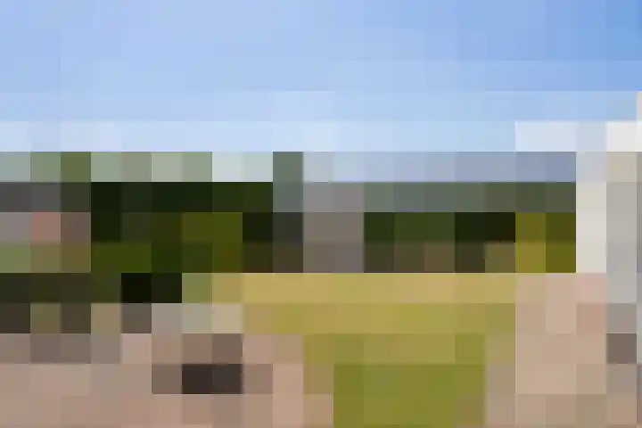 Boshoverbeek 20 Weert thumbnail 31