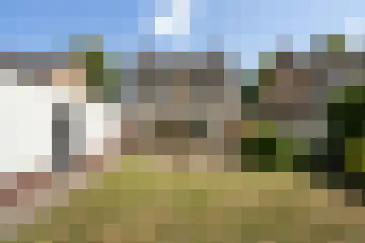 Boshoverbeek 20 Weert thumbnail 34