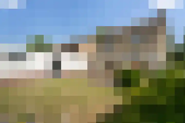 Boshoverbeek 20 Weert thumbnail 35