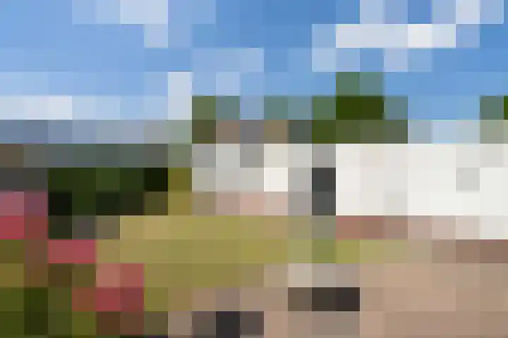 Boshoverbeek 20 Weert thumbnail 37