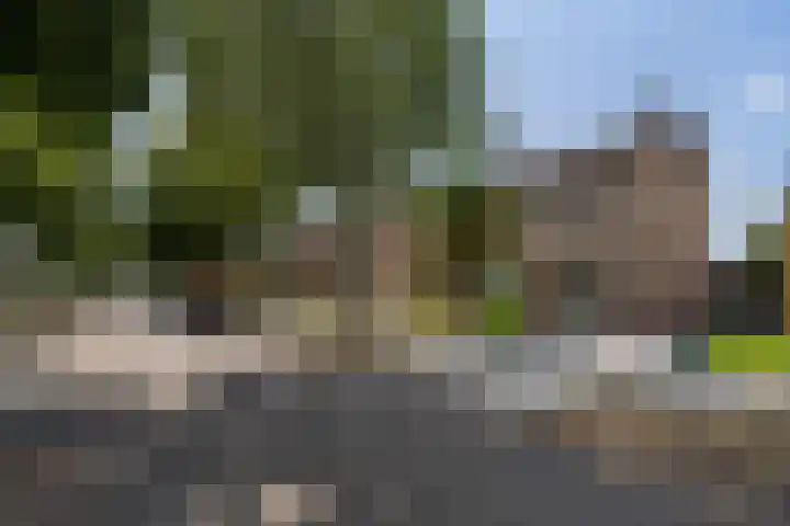 Boshoverbeek 20 Weert thumbnail 40