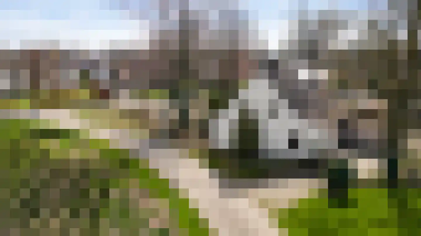 Boshoverweg 5 Weert thumbnail 37